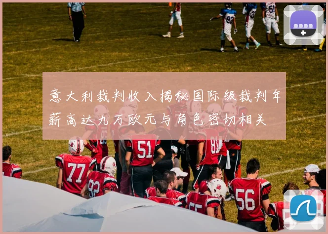 意大利裁判收入揭秘国际级裁判年薪高达九万欧元与角色密切相关