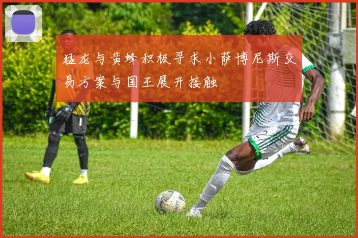 猛龙与黄蜂积极寻求小萨博尼斯交易方案与国王展开接触